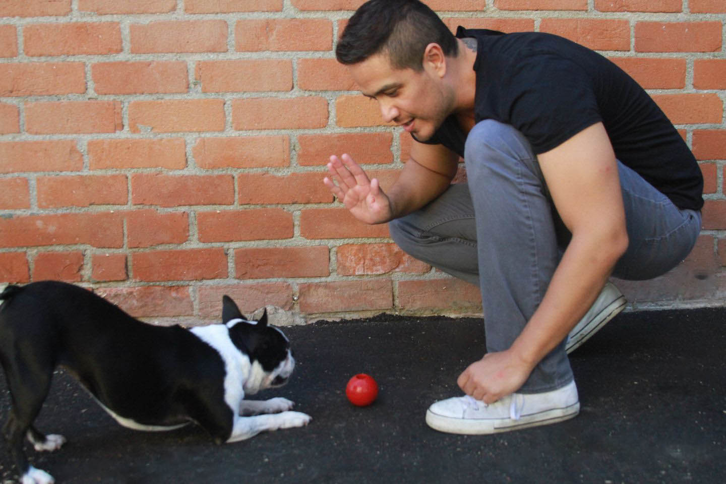 Anthony Silva in a black shirt and gray pants is crouched in front of a brick wall, holding a hand up to a black and white dog playing with a red ball. Why choose us? Because we cherish moments like these.