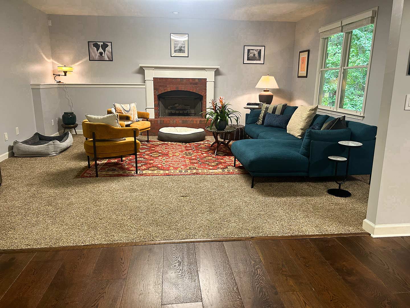 A living room with a fireplace, sectional blue couch, yellow chairs, a red patterned rug, and various framed pictures on the walls. A window on the right allows natural light to illuminate the space, creating an ideal environment for dog training sessions.