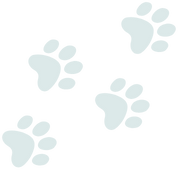 An image of four light blue paw prints arranged diagonally across a white background adds a whimsical touch to any home.