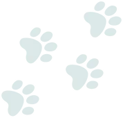 An image of four light blue paw prints arranged diagonally across a white background adds a whimsical touch to any home.